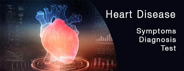 Heart Function Test | Xpress Pathlabs - pathology lab, diagnostic center, blood test, diagnostic center india, path lab, diagnostic services, pathology services, diagnostic services india, pathology services india