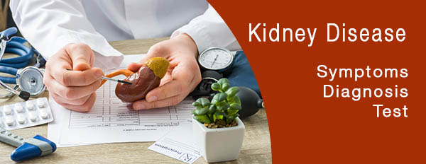 kidney Disease test | Xpress Pathlabs - pathology lab, diagnostic center, blood test, diagnostic center india, path lab, diagnostic services, pathology services, diagnostic services india, pathology services india